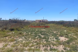Terreno, Marsala.