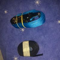 Cinghie di ancoraggio