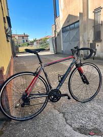 Bici da corsa
