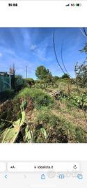 Terreno agricolo