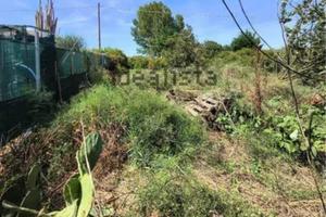 Terreno agricolo