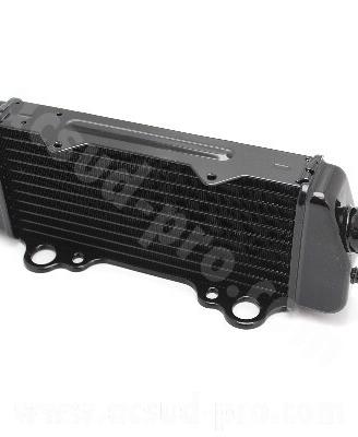 Radiatore Tnt Beta rr 50