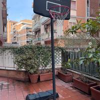 Canestro basket con base B100 EASY Regolabile