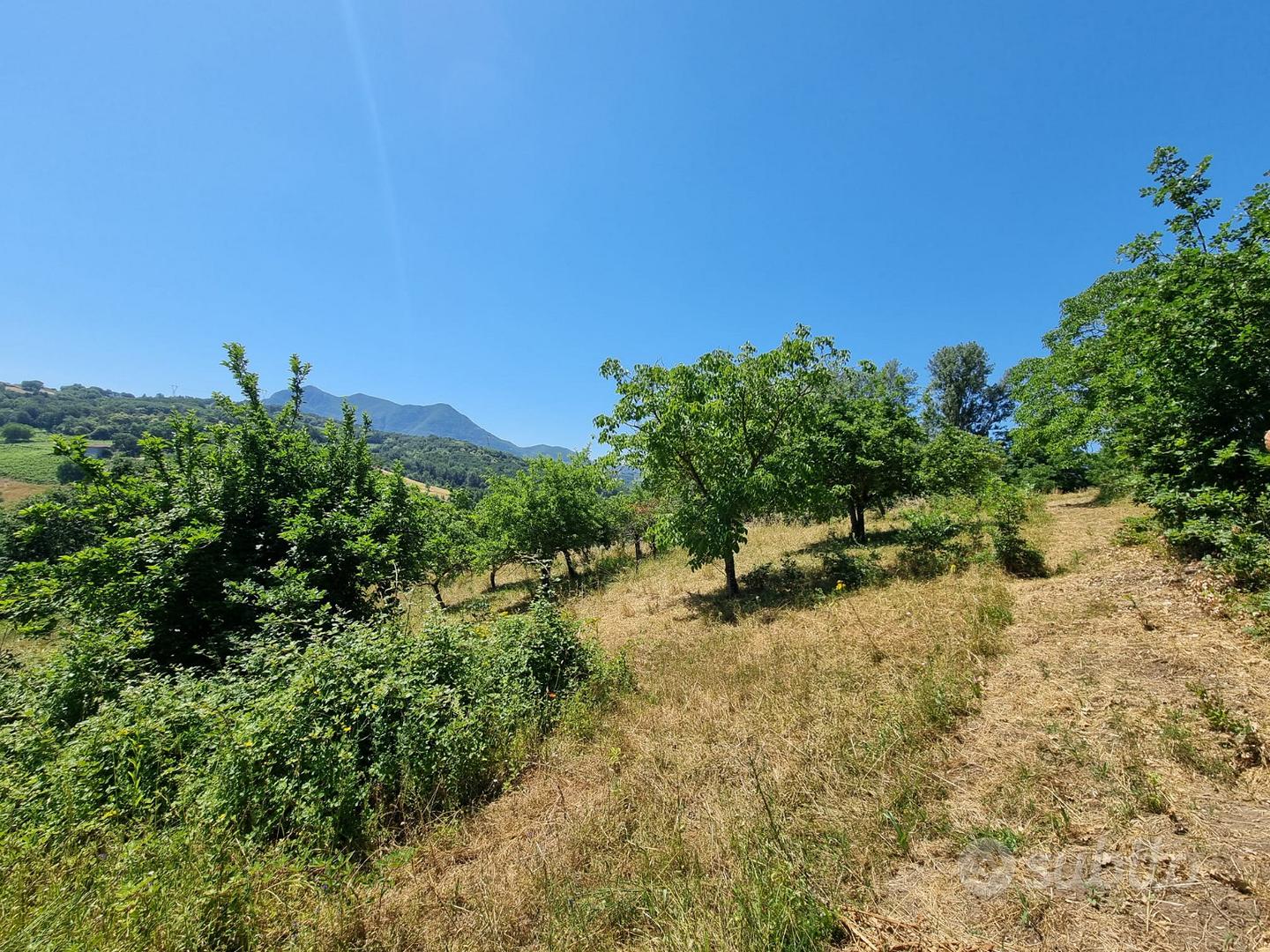 Due lotti di terreno di mq 9000 - Altro