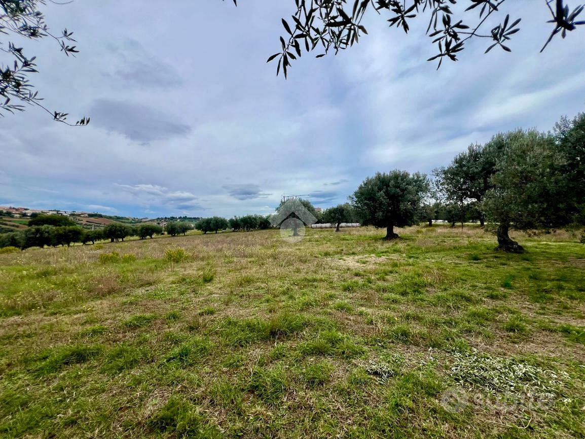 TER. AGRICOLO A MOSCIANO SANT'ANGELO - Vista 5