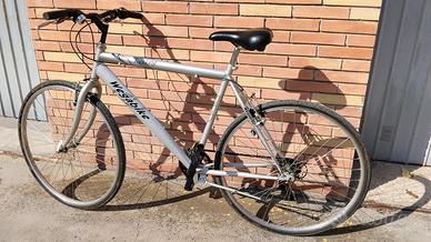 bicicletta uomo 28 da passeggio