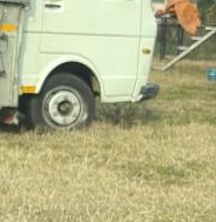 Furgone Volkswagen