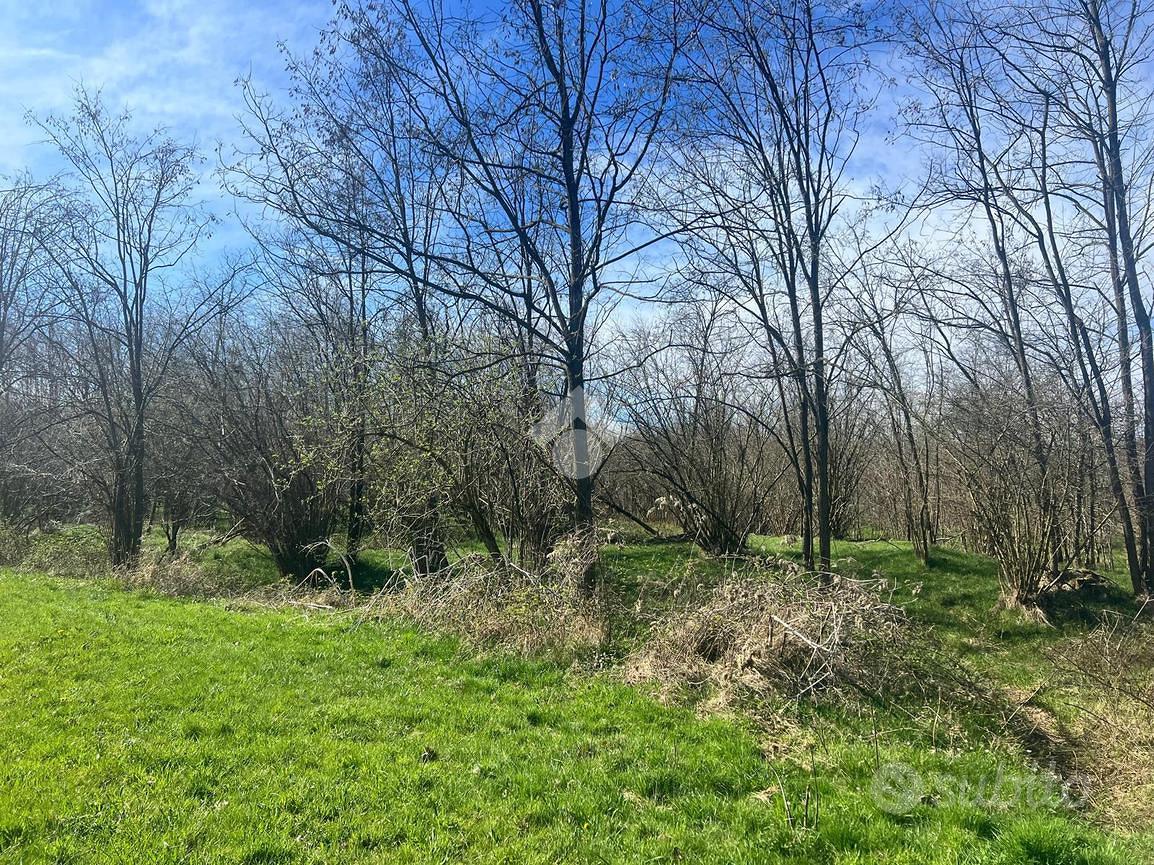 TER. AGRICOLO A CERRIONE - Vista 5