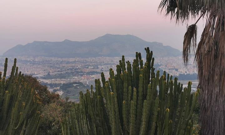 Villa/Baida/via Fellini Rif 44/21