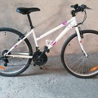 MTB ROCKRIDER 5.0