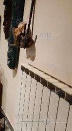 Appartamento Vasto [A4345276]