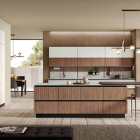 CUCINA LINEARE CON ISOLA+PIANO SNACK AMPIA COLONNA