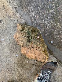 Pietre ornamentali da giardino