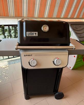Barbecue weber Spirit E-210