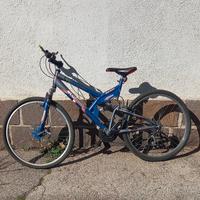 Bici bottecchia 