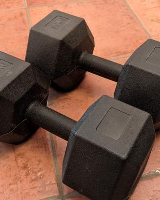 Coppia manubri esagonali 2x10kg - totale 20 kg