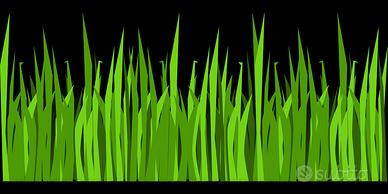 Lotti terreno pianeggiante a prato