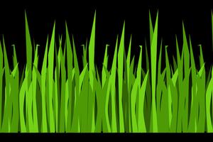 Lotti terreno pianeggiante a prato