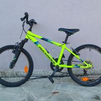 MTB 20"