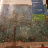 LL 50 lezioni di latino 