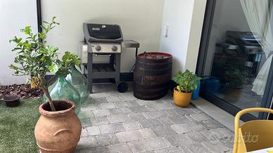 Barbecue Weber a gas