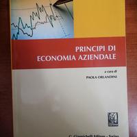 PRINCIPI DI ECONOMIA AZIENDALE