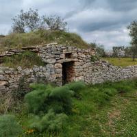 Terreno agricolo
