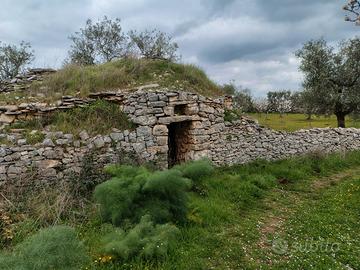 Terreno agricolo
