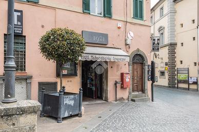 ATTIVITÀ A CAPRAROLA