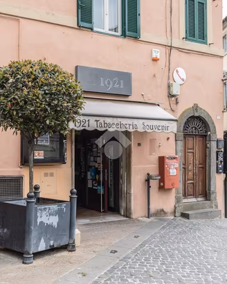 ATTIVITÀ A CAPRAROLA