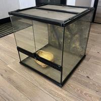 accessorio per rettili