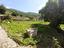 Immagine 29