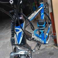 Pinarello Galileo 