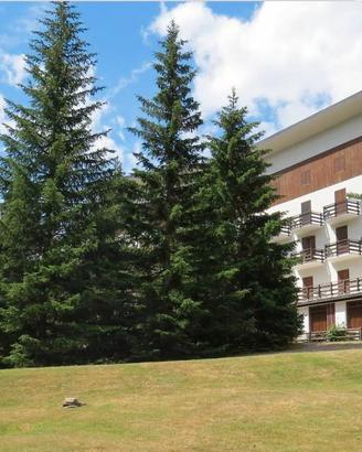 Pragelato (TO), alloggio per vacanze