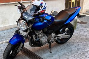 Honda hornet