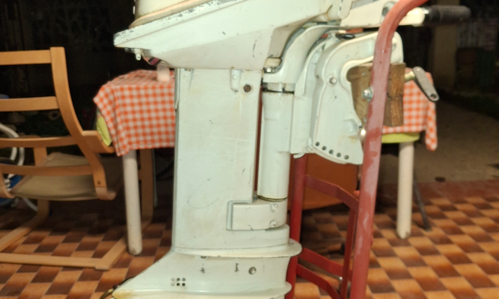 Motore fuoribordo 15cv