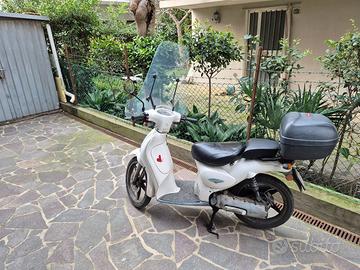 parabrezza- pedalini sellino trasportato (scarabeo