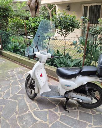 parabrezza- pedalini sellino trasportato (scarabeo