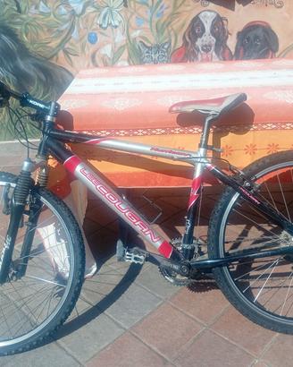 bicicletta Mountain bike 