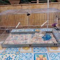 gabbia per uccelli 