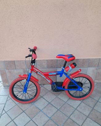 bicicletta 