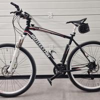 Mountaine Bike 29" bottecchia