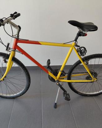 Mountain bike anni 90 per uomo