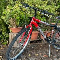 Due Biciclette da bambino lombardo