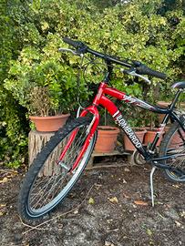 Due Biciclette da bambino lombardo