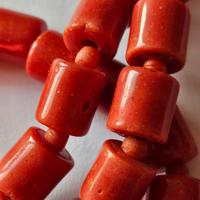 corallium hubrium del mediterraneo a barilotti