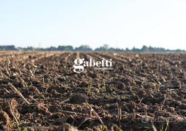 Terreno Agricolo Conselve [Cod. rif 0629251067VCG]