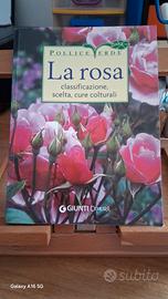 Pollice verde "La rosa"Giunti Demetra