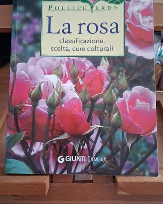 Pollice verde "La rosa"Giunti Demetra