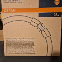 Lampadina neon Osram FC 22W/840 2GX13